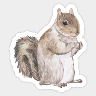 Squirrel - Cute Squirrel Sticker
